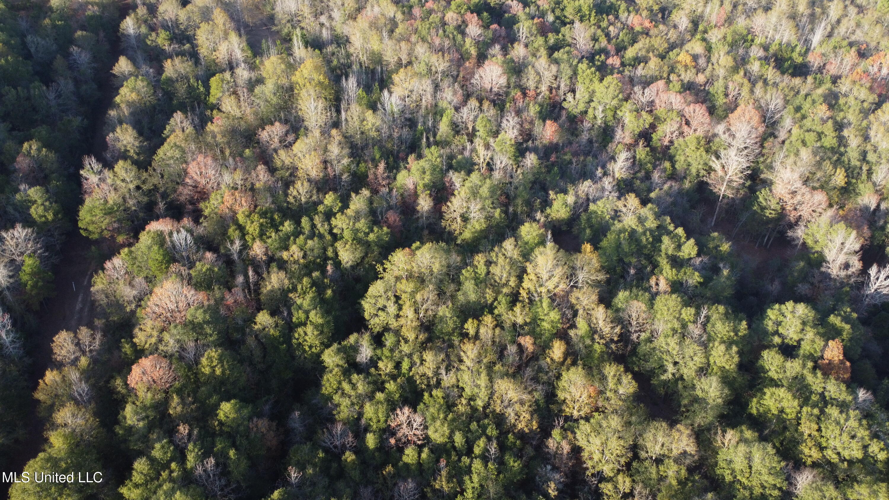 10 10 Mile Creek Road Foxworth, MS 39483 - Photo 46 of 101 DJI_0674