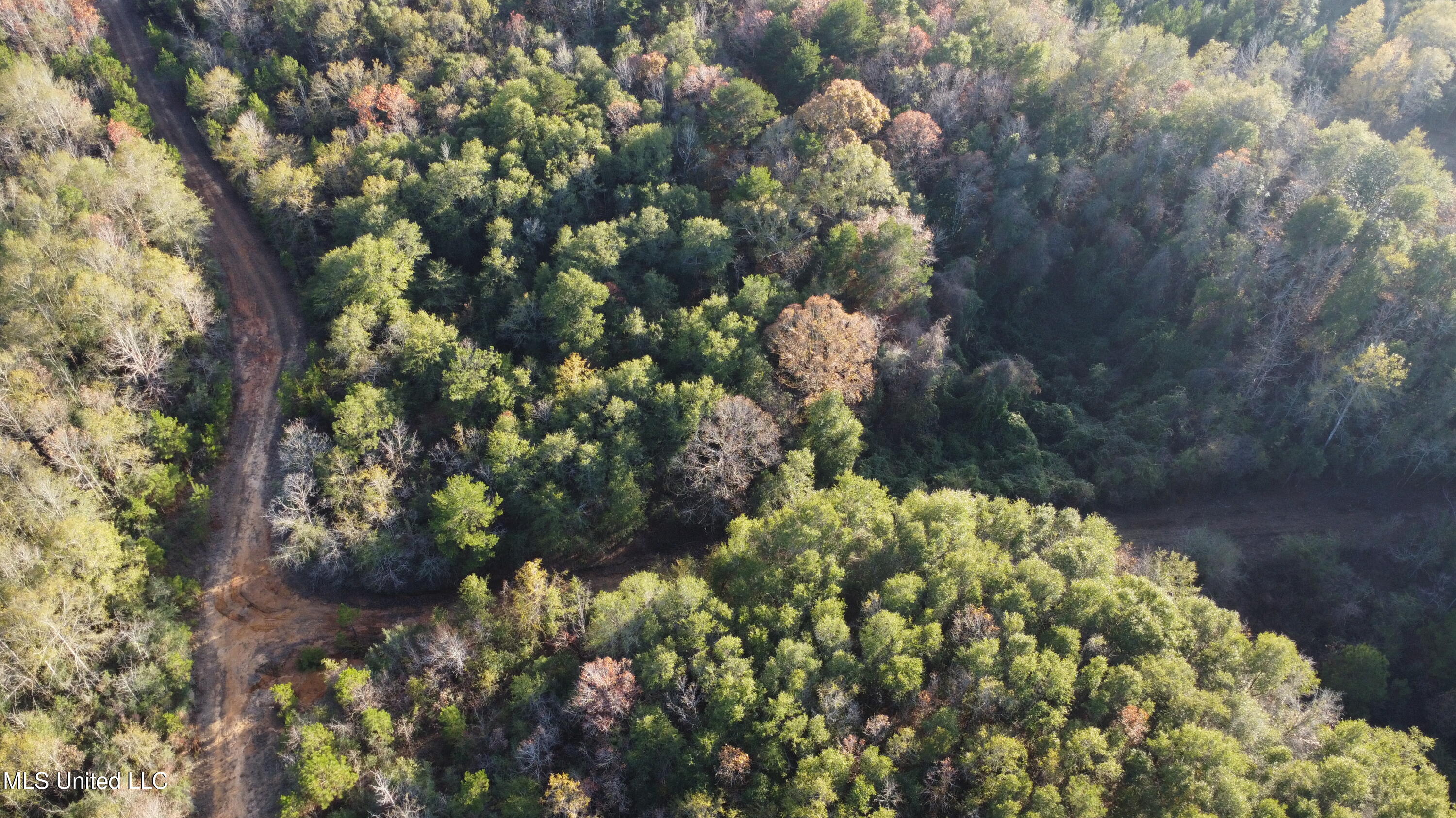 10 10 Mile Creek Road Foxworth, MS 39483 - Photo 47 of 101 DJI_0675