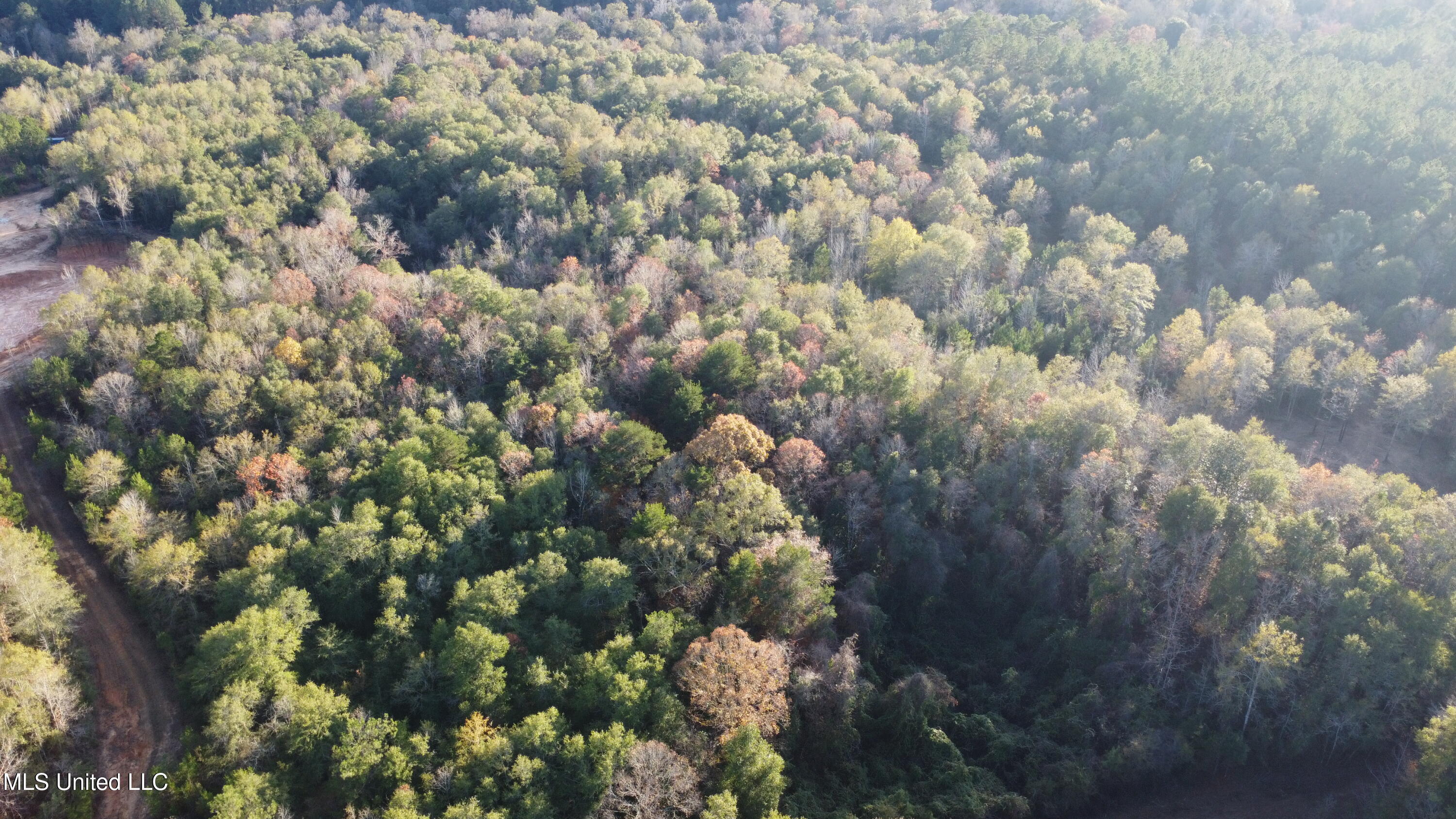 10 10 Mile Creek Road Foxworth, MS 39483 - Photo 48 of 101 DJI_0676