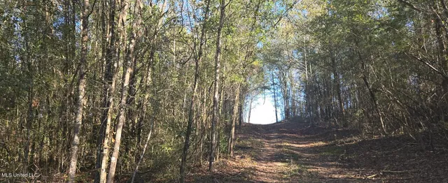 $139,000 | 10 10 Mile Creek Road, Foxworth, MS 39483