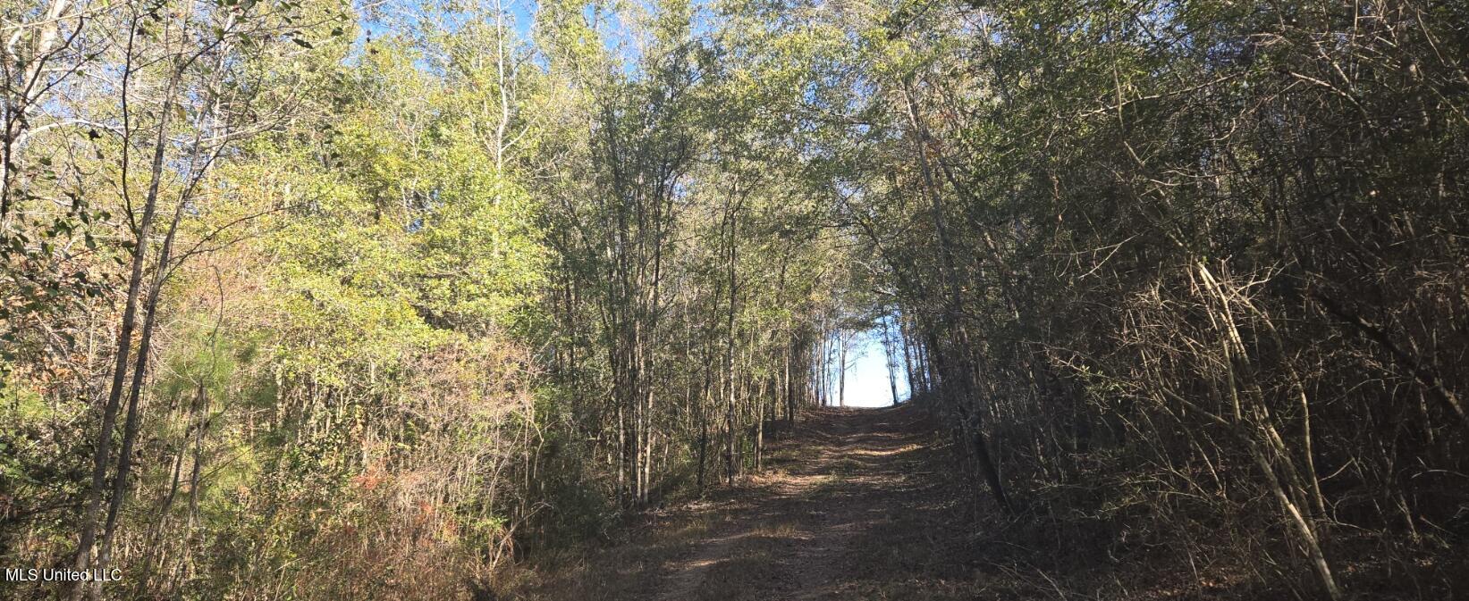 10 10 Mile Creek Road Foxworth, MS 39483 - Photo 50 of 101 20251215_101658