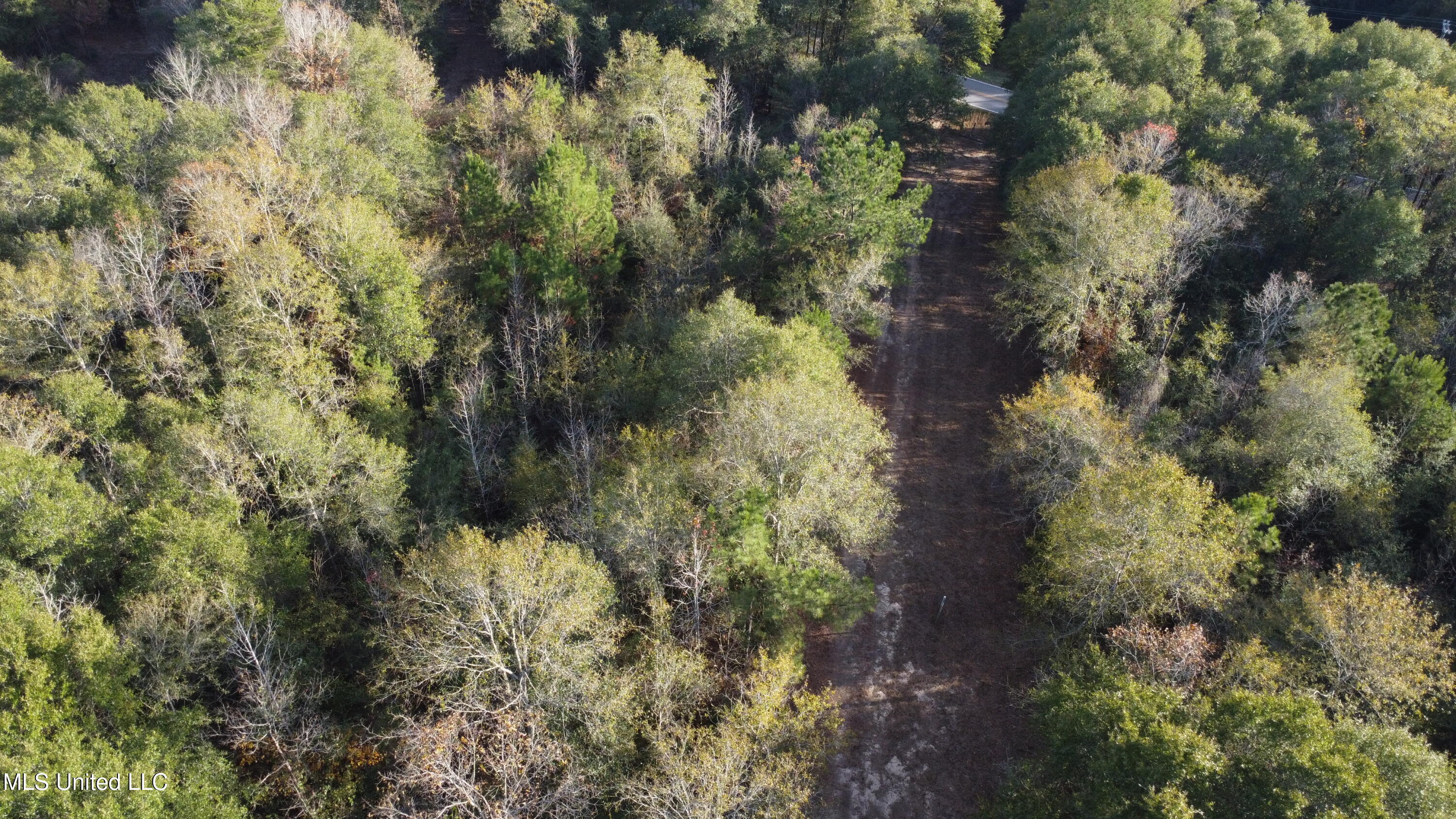 10 10 Mile Creek Road Foxworth, MS 39483 - Photo 5 of 101 DJI_0659