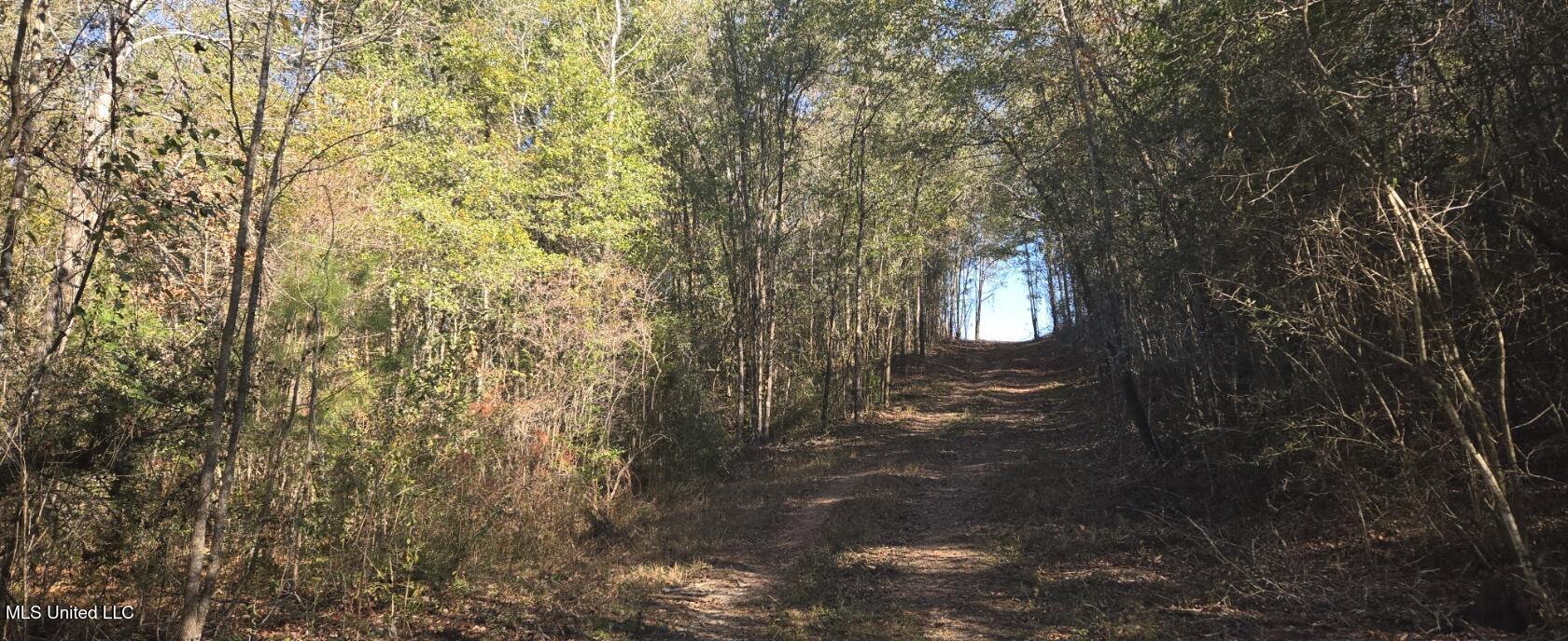 10 10 Mile Creek Road Foxworth, MS 39483 - Photo 51 of 101 20251215_101653
