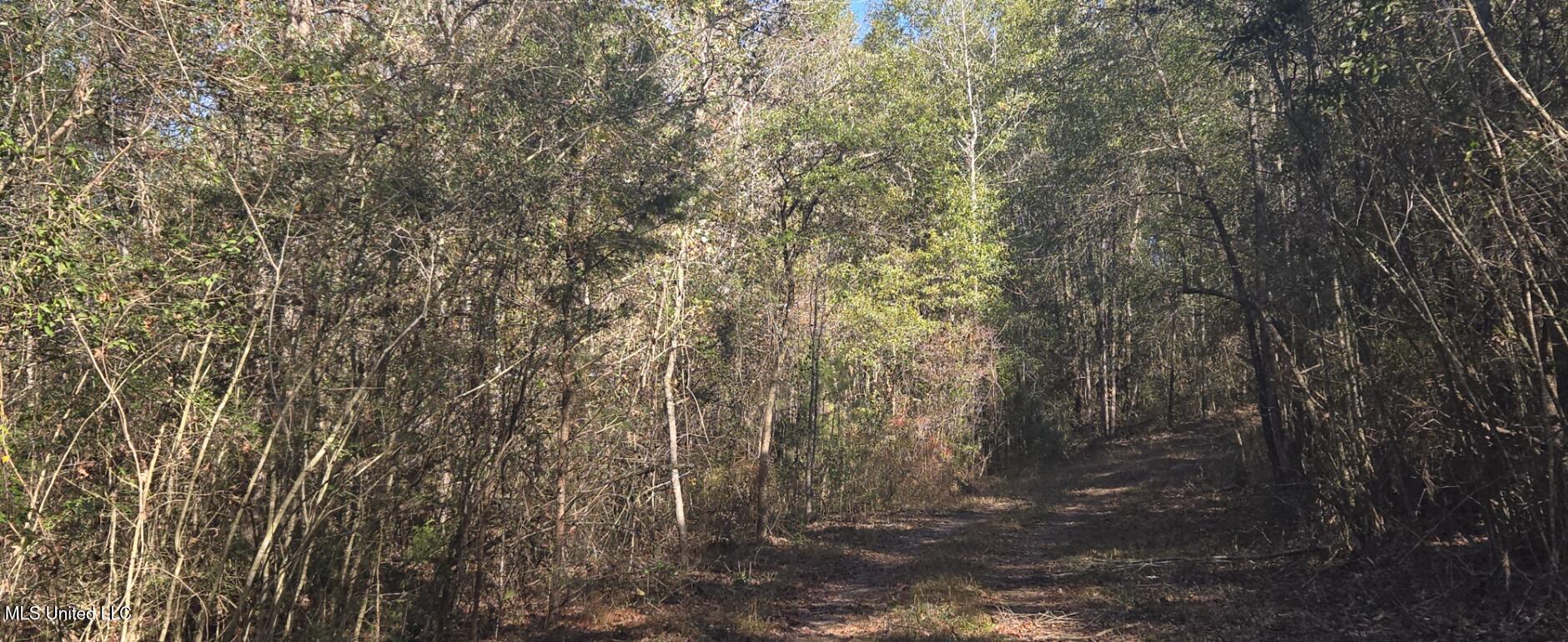 10 10 Mile Creek Road Foxworth, MS 39483 - Photo 53 of 101 20251215_101615