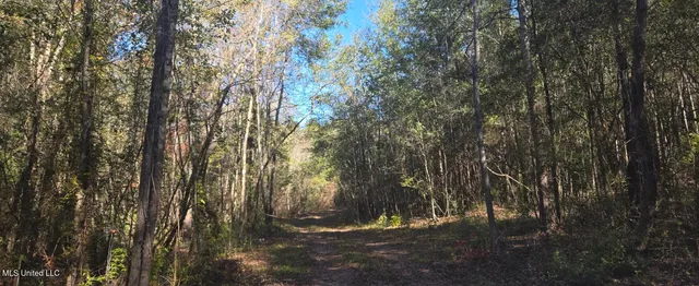 $139,000 | 10 10 Mile Creek Road, Foxworth, MS 39483