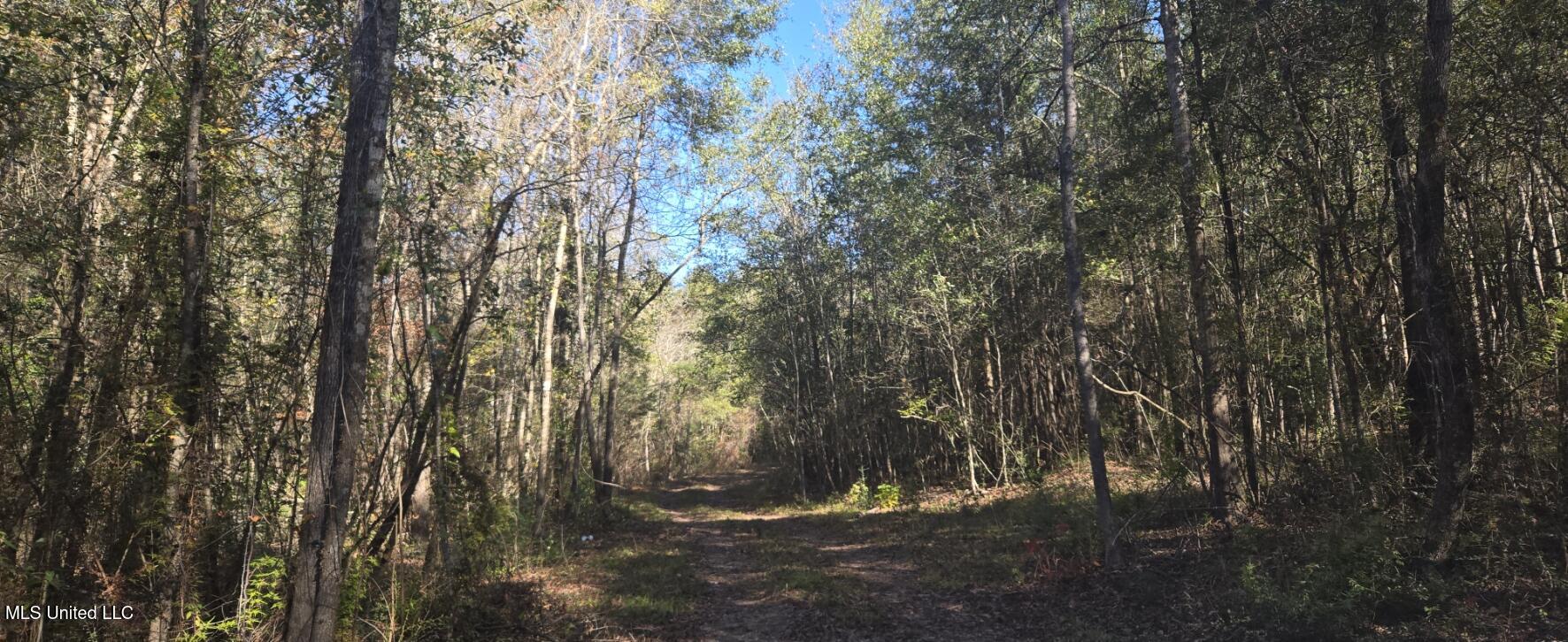 10 10 Mile Creek Road Foxworth, MS 39483 - Photo 54 of 101 20251215_101516