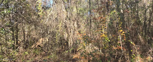 $139,000 | 10 10 Mile Creek Road, Foxworth, MS 39483