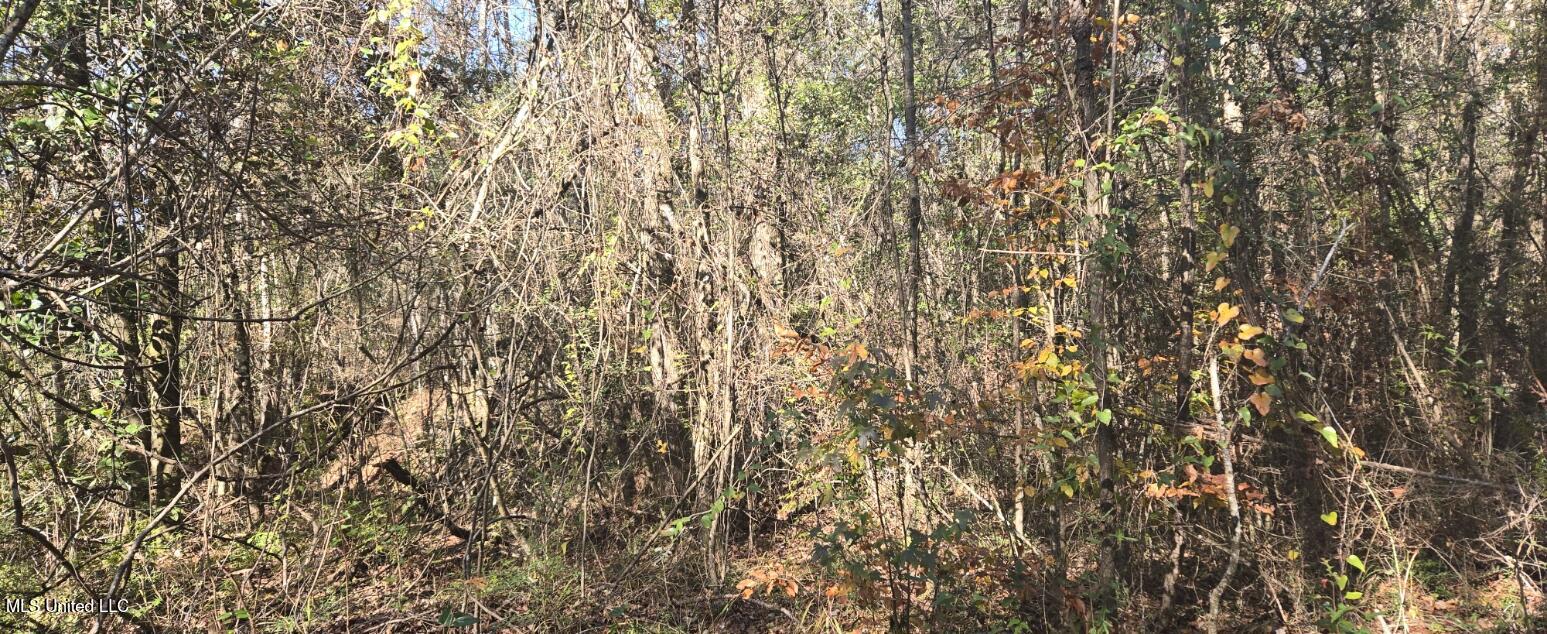 10 10 Mile Creek Road Foxworth, MS 39483 - Photo 56 of 101 20251215_101507