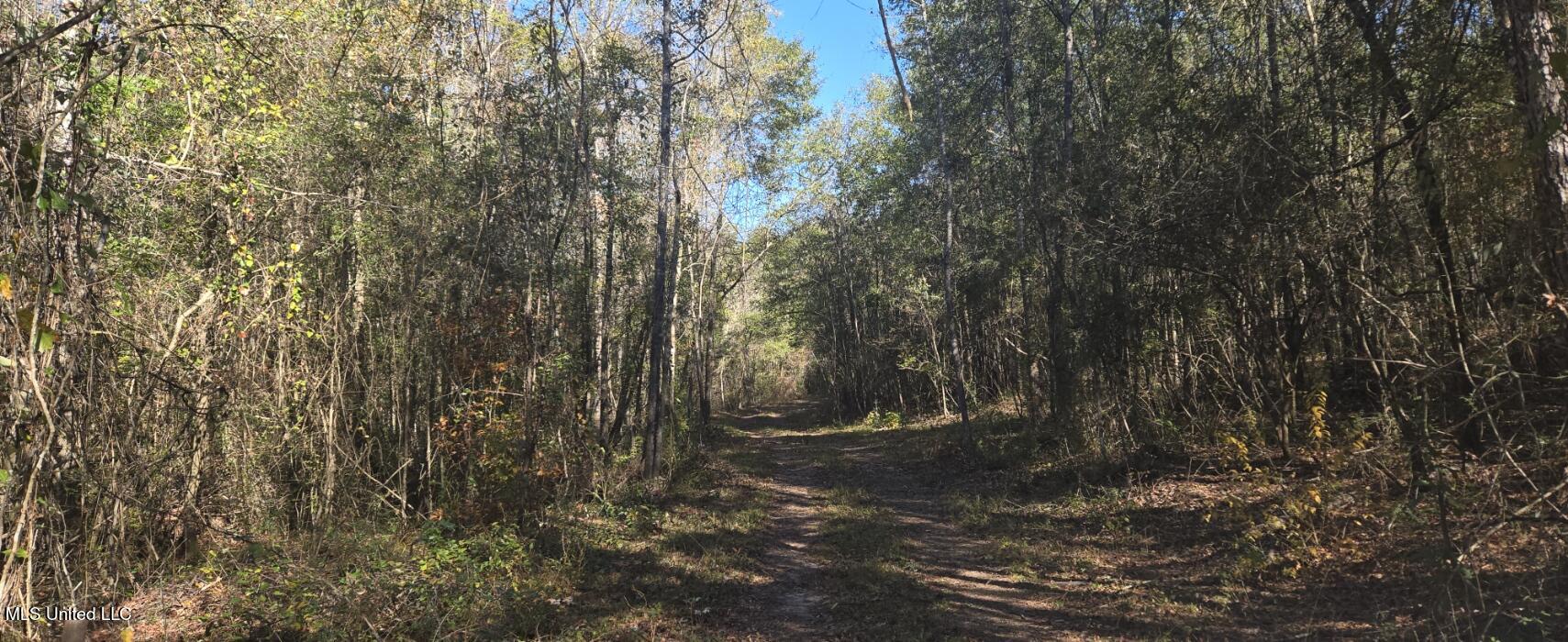 10 10 Mile Creek Road Foxworth, MS 39483 - Photo 57 of 101 20251215_101436