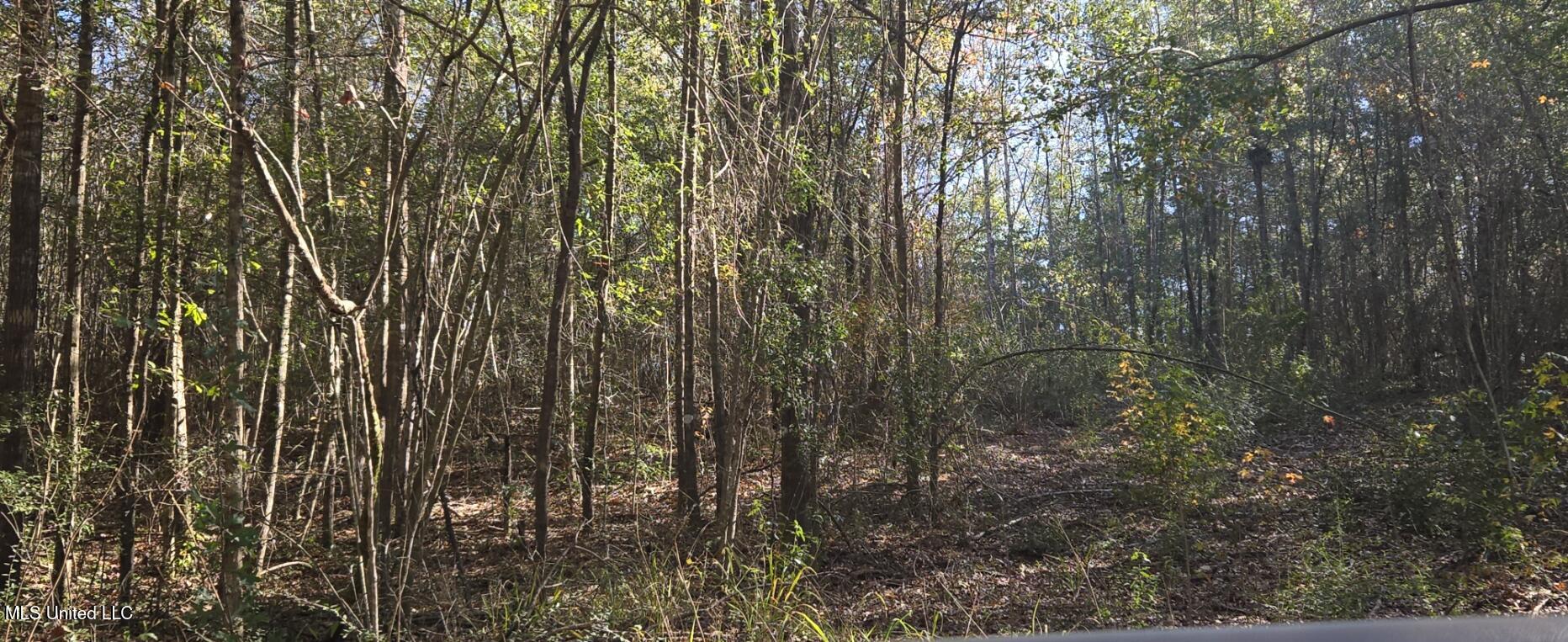 10 10 Mile Creek Road Foxworth, MS 39483 - Photo 58 of 101 20251215_101549