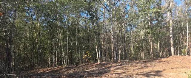 $139,000 | 10 10 Mile Creek Road, Foxworth, MS 39483