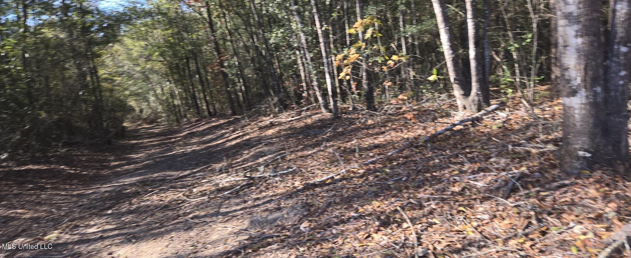 10 10 Mile Creek Road Foxworth, MS 39483 - Photo 60 of 101 20251215_103331