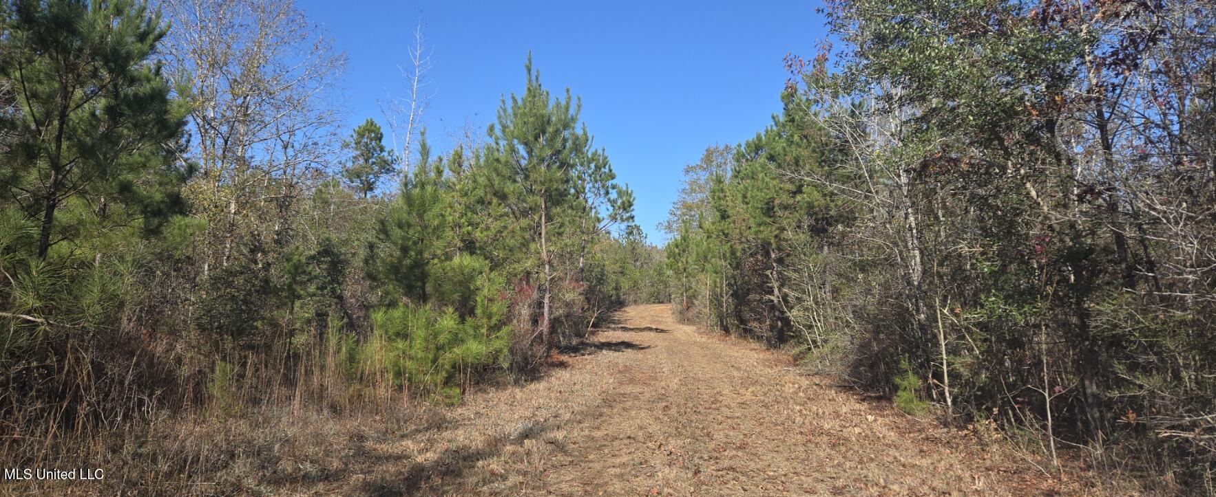 10 10 Mile Creek Road Foxworth, MS 39483 - Photo 62 of 101 20251215_103806