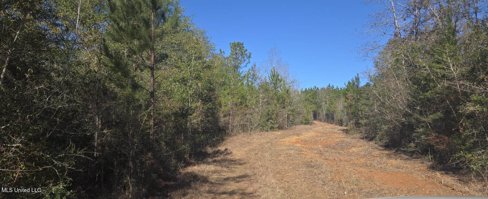 10 10 Mile Creek Road Foxworth, MS 39483 - Photo 63 of 101 20251215_103855