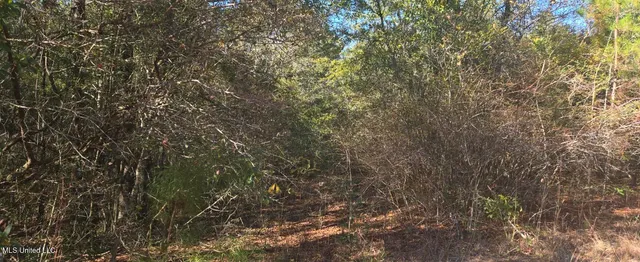 $139,000 | 10 10 Mile Creek Road, Foxworth, MS 39483