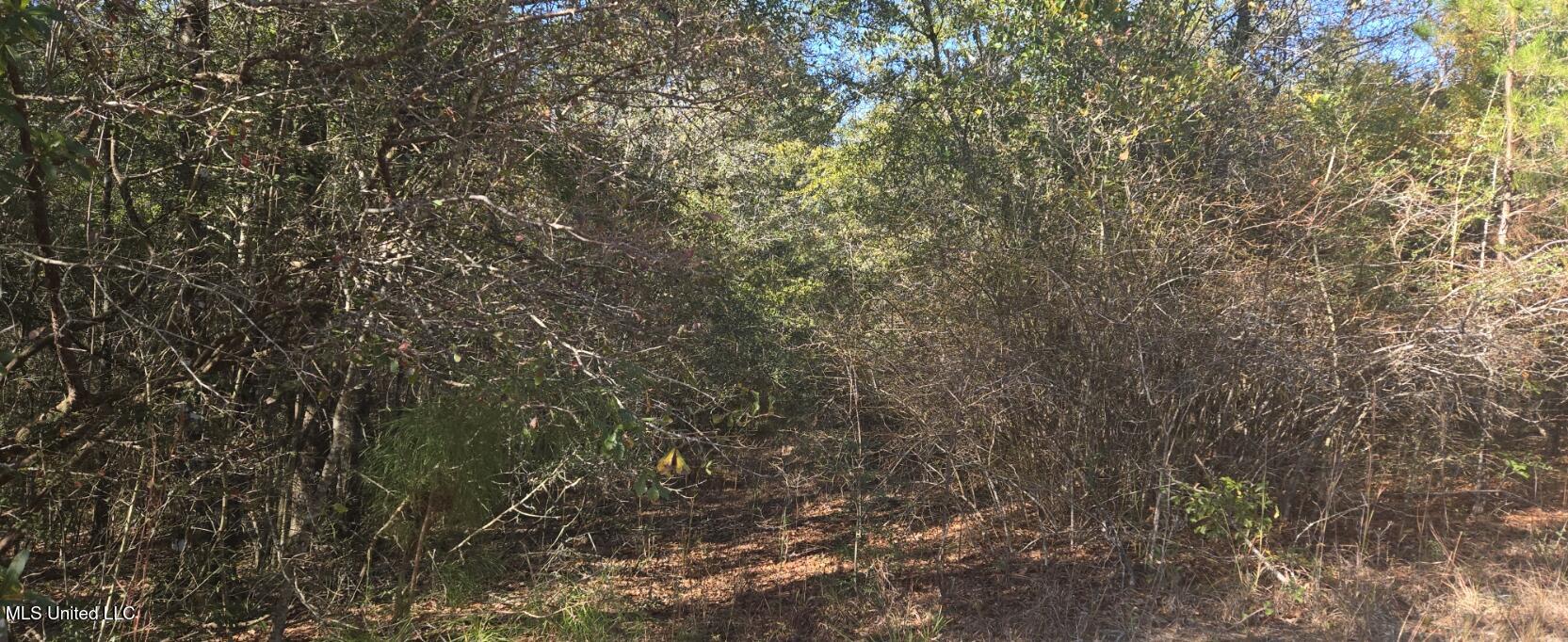 10 10 Mile Creek Road Foxworth, MS 39483 - Photo 64 of 101 20251215_103926