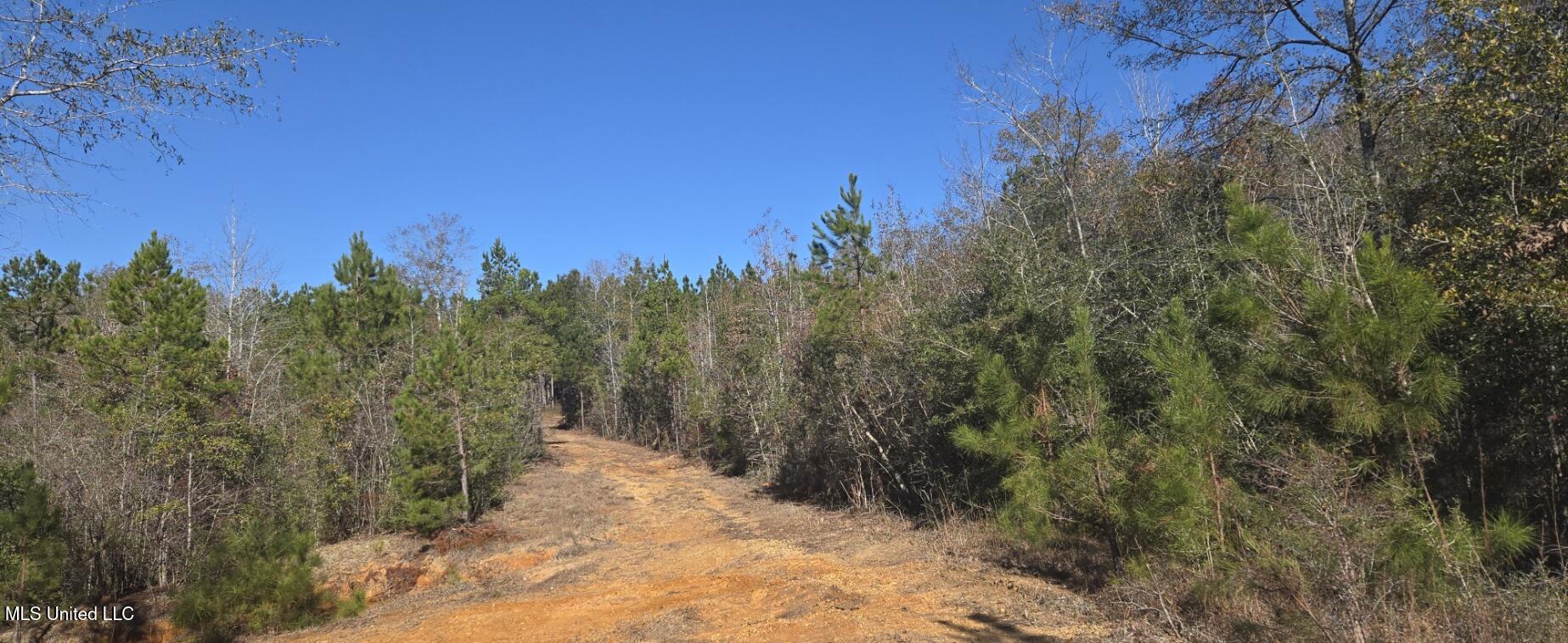 10 10 Mile Creek Road Foxworth, MS 39483 - Photo 65 of 101 20251215_103951