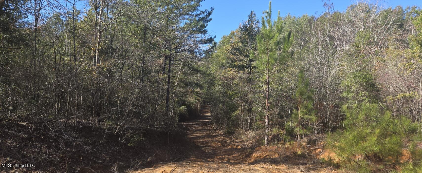 10 10 Mile Creek Road Foxworth, MS 39483 - Photo 66 of 101 20251215_104011