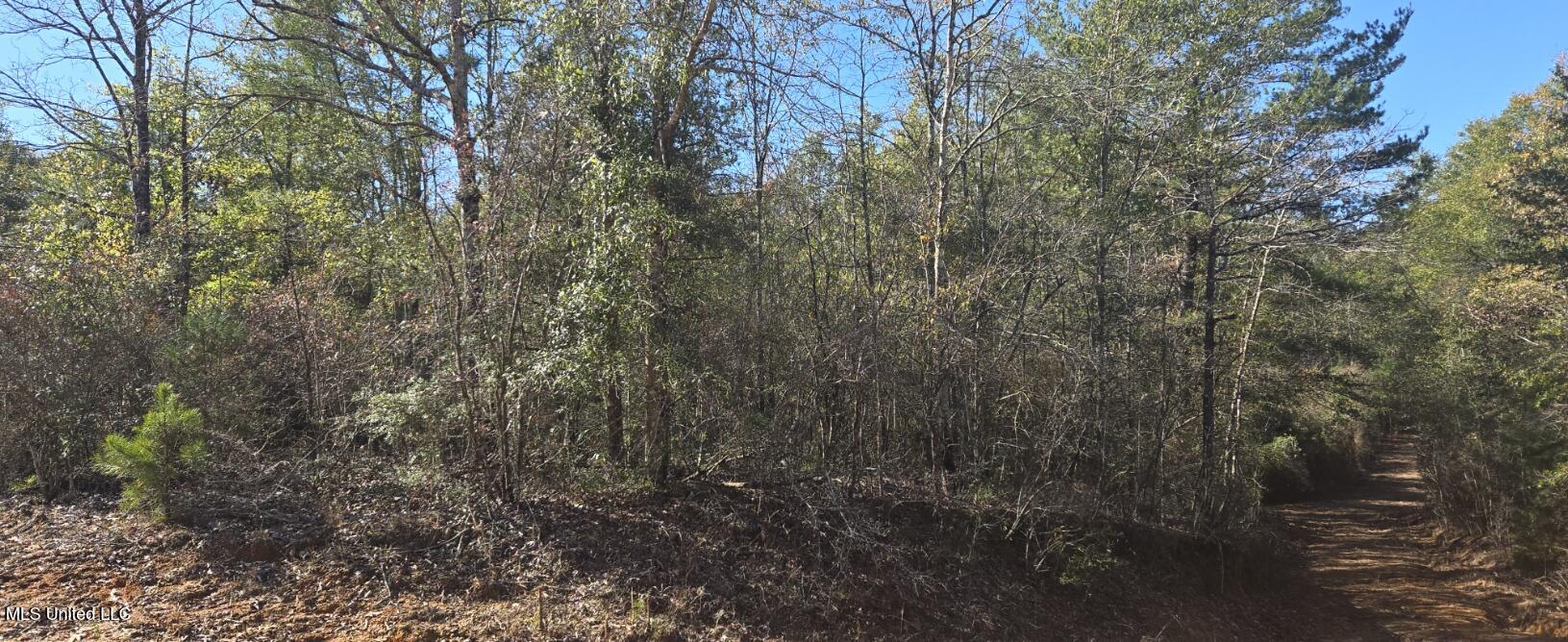 10 10 Mile Creek Road Foxworth, MS 39483 - Photo 67 of 101 20251215_104018