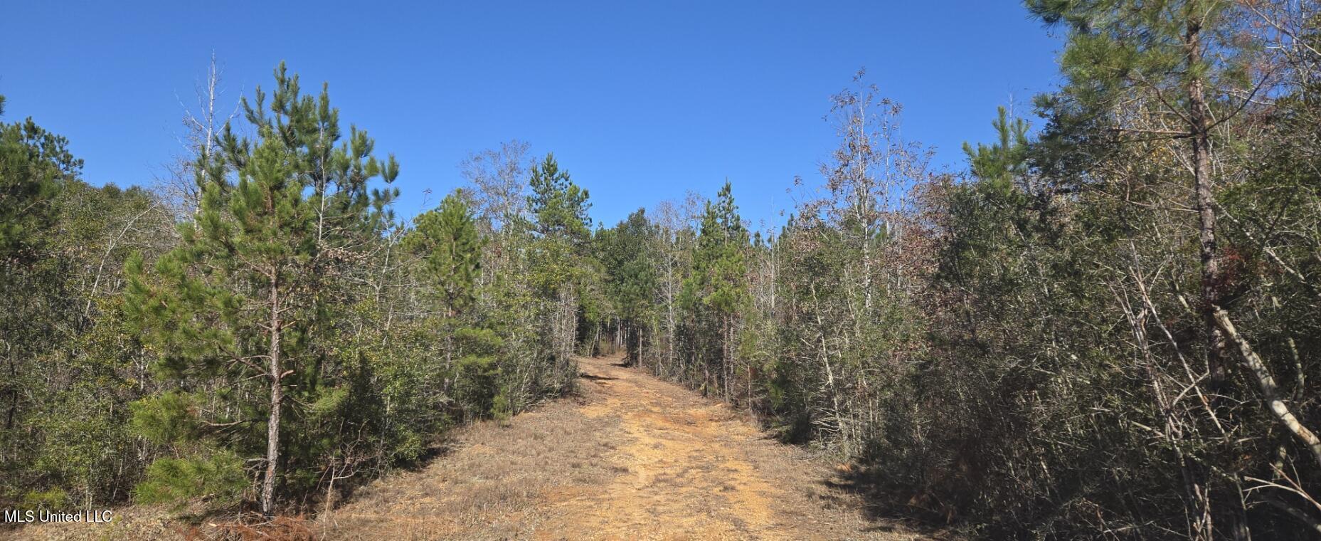 10 10 Mile Creek Road Foxworth, MS 39483 - Photo 68 of 101 20251215_104026