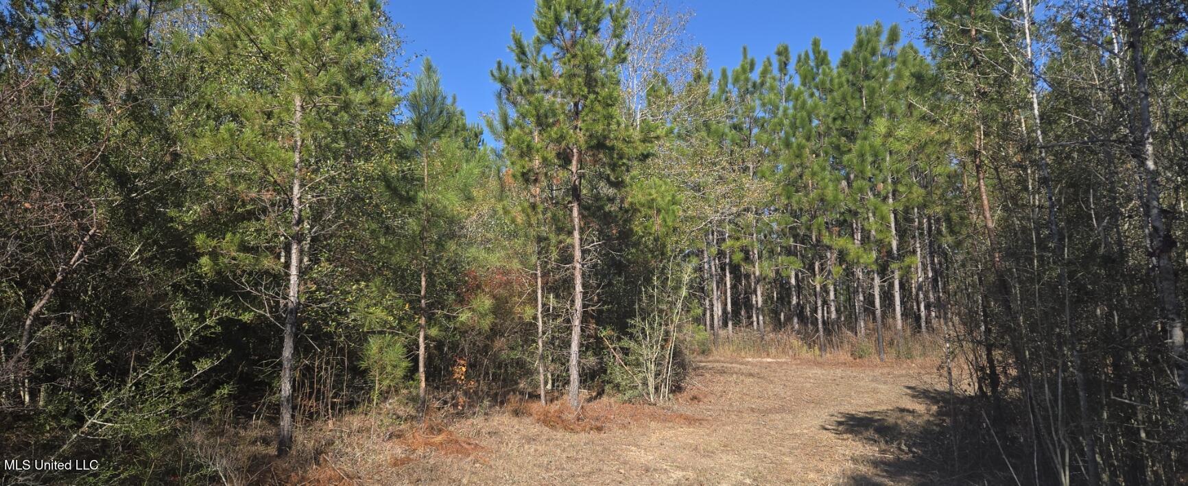 10 10 Mile Creek Road Foxworth, MS 39483 - Photo 69 of 101 20251215_104108