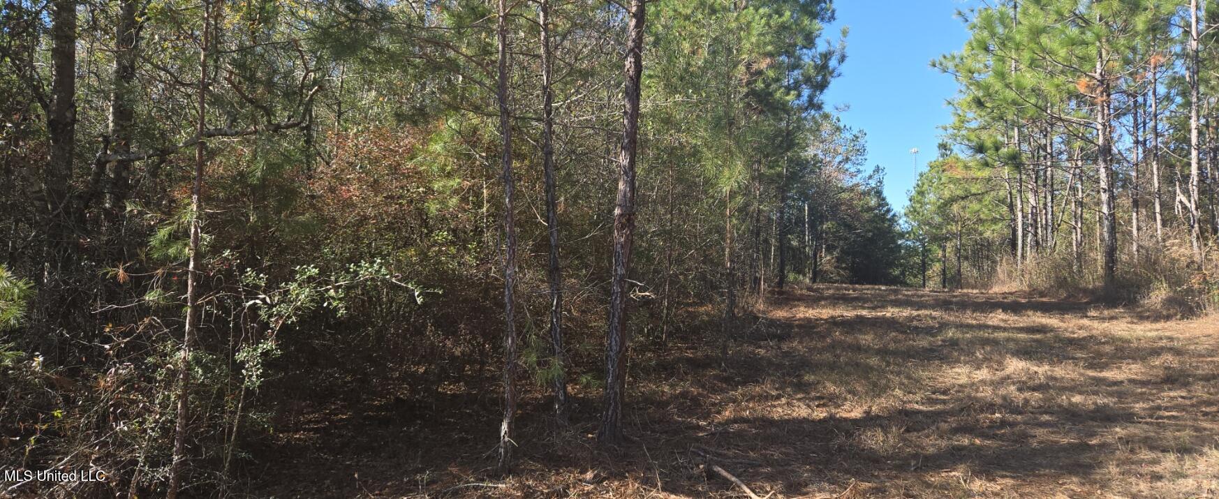 10 10 Mile Creek Road Foxworth, MS 39483 - Photo 70 of 101 20251215_104128