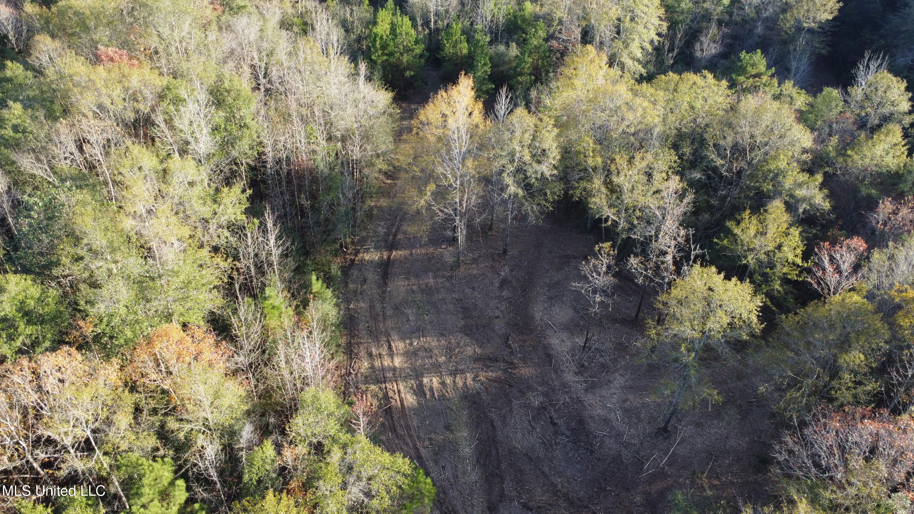 10 10 Mile Creek Road Foxworth, MS 39483 - Photo 7 of 101 DJI_0664
