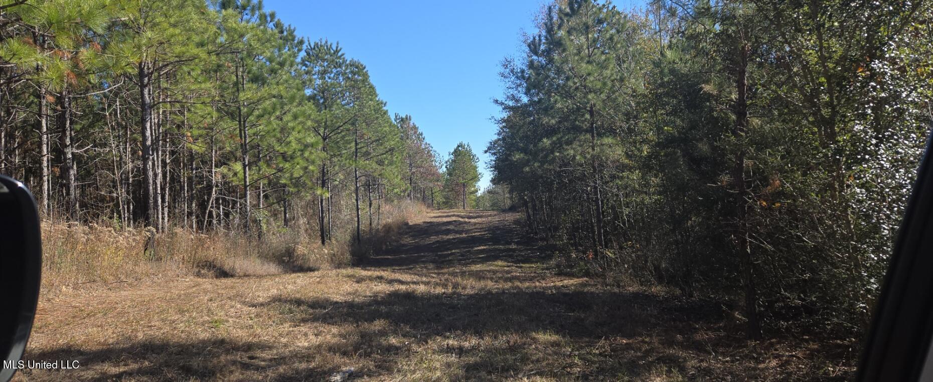 10 10 Mile Creek Road Foxworth, MS 39483 - Photo 71 of 101 20251215_104142