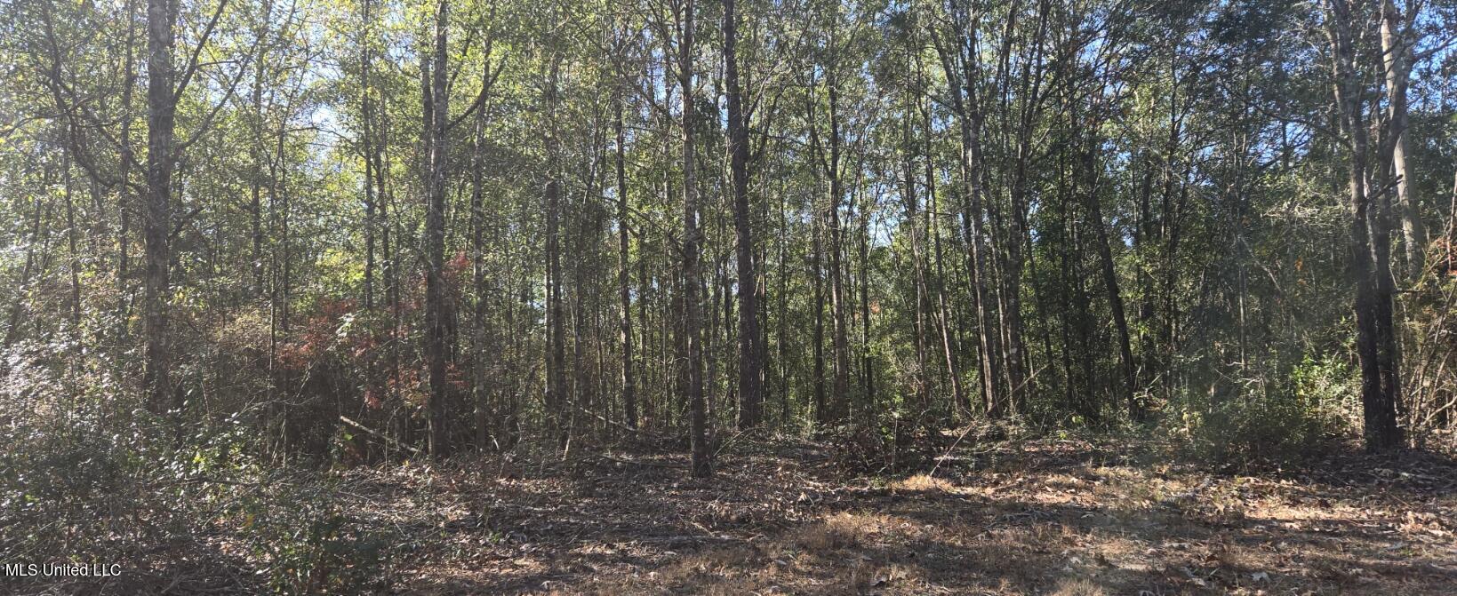 10 10 Mile Creek Road Foxworth, MS 39483 - Photo 72 of 101 20251215_104236