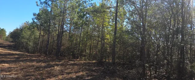 $139,000 | 10 10 Mile Creek Road, Foxworth, MS 39483