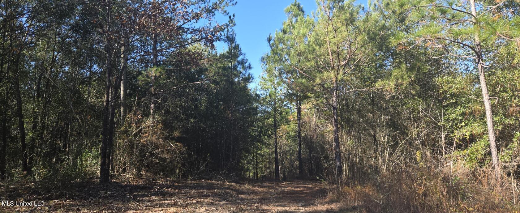 10 10 Mile Creek Road Foxworth, MS 39483 - Photo 74 of 101 20251215_104254
