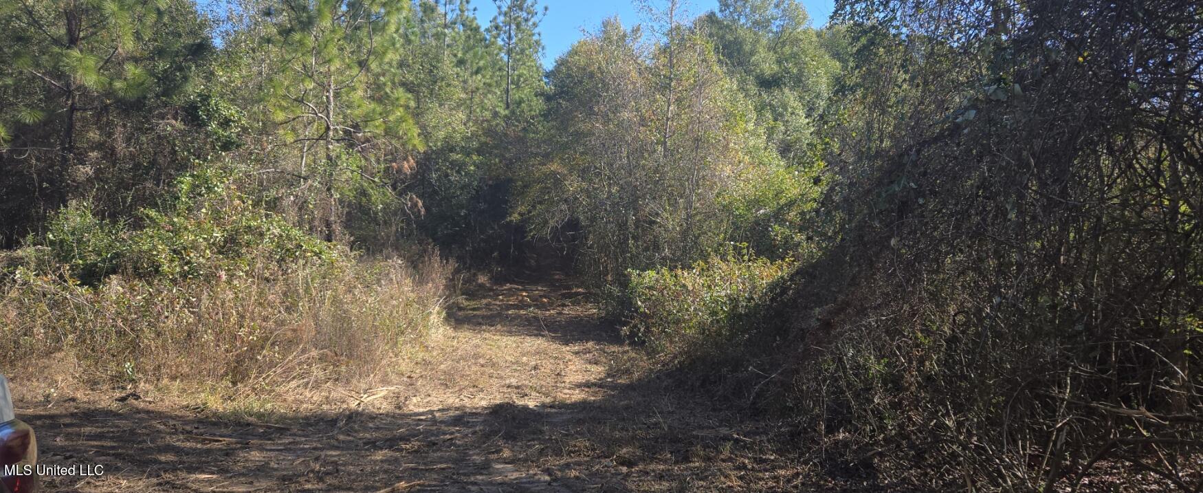 10 10 Mile Creek Road Foxworth, MS 39483 - Photo 75 of 101 20251215_105117