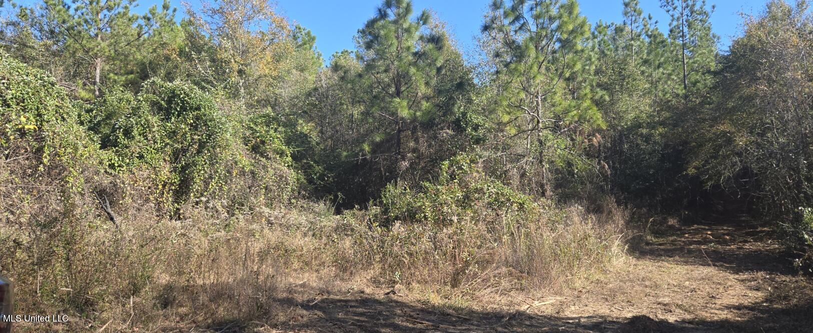 10 10 Mile Creek Road Foxworth, MS 39483 - Photo 76 of 101 20251215_105122