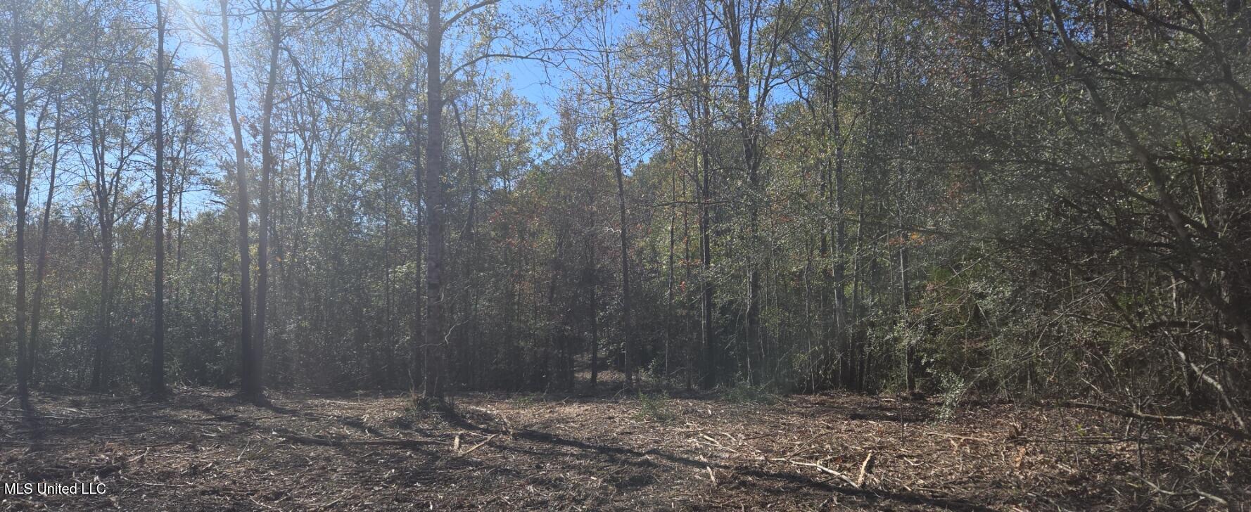 10 10 Mile Creek Road Foxworth, MS 39483 - Photo 77 of 101 20251215_105520