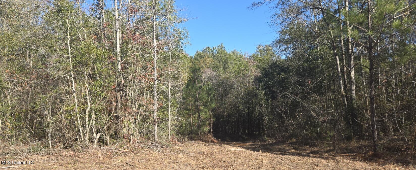 10 10 Mile Creek Road Foxworth, MS 39483 - Photo 78 of 101 20251215_105503