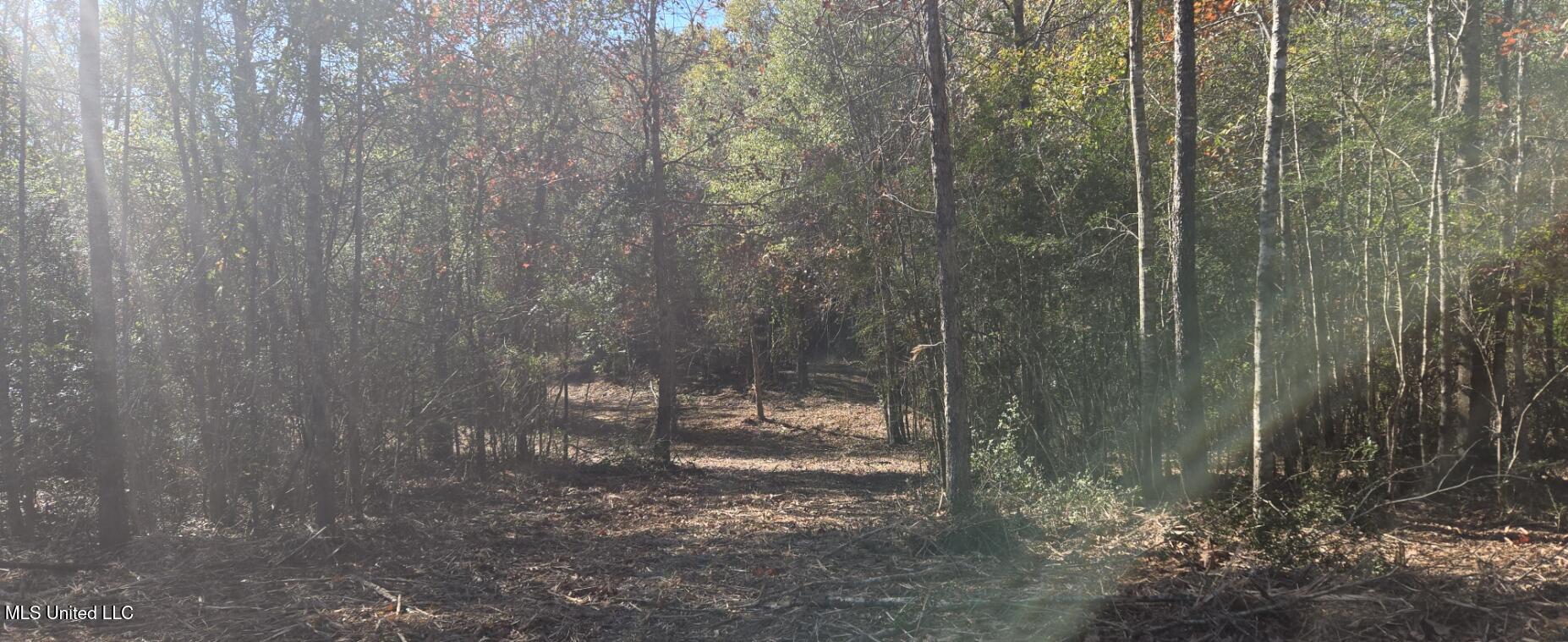 10 10 Mile Creek Road Foxworth, MS 39483 - Photo 79 of 101 20251215_105540
