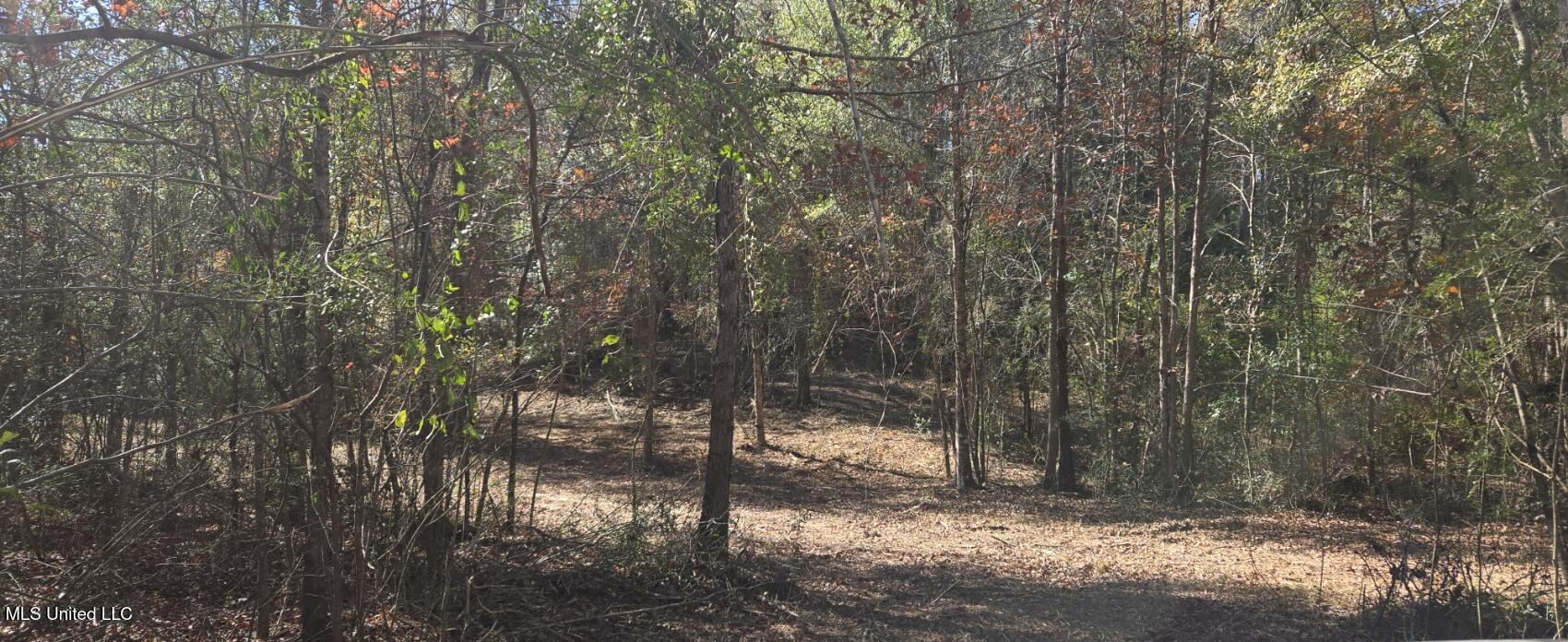 10 10 Mile Creek Road Foxworth, MS 39483 - Photo 80 of 101 20251215_105652