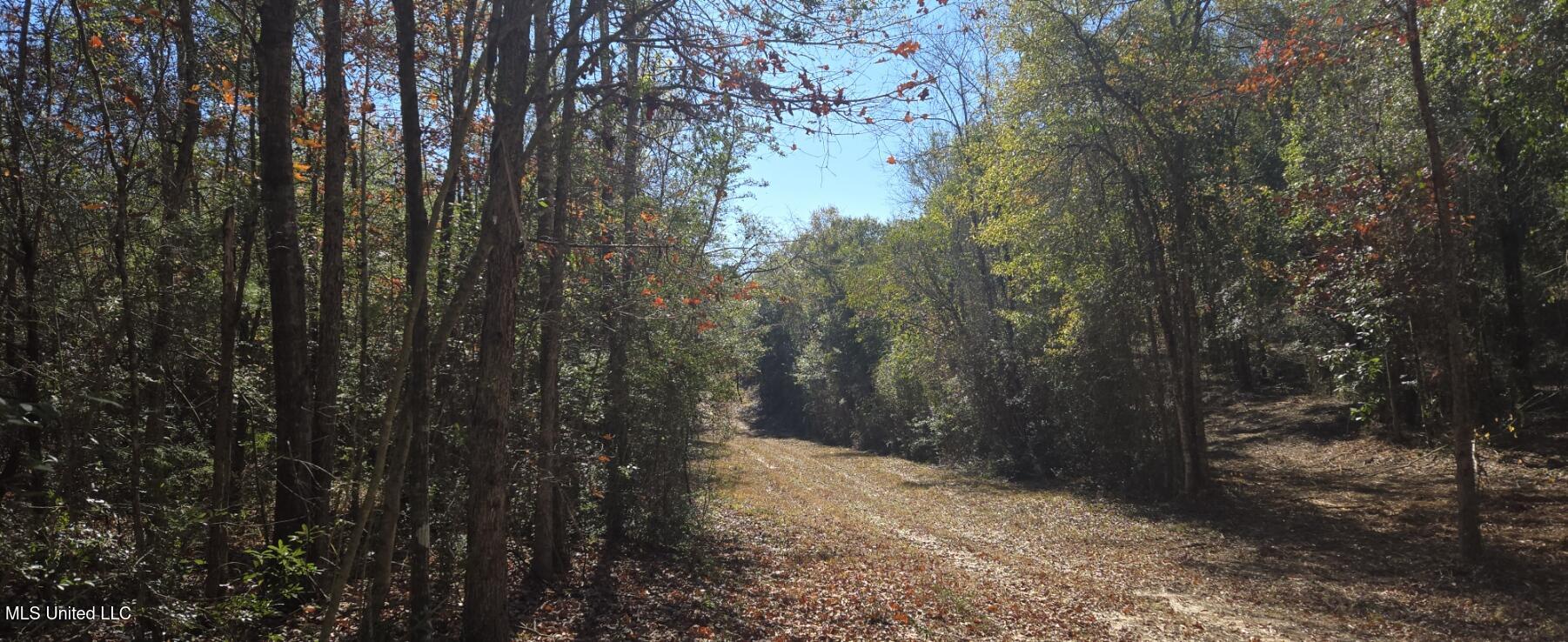 10 10 Mile Creek Road Foxworth, MS 39483 - Photo 81 of 101 20251215_105715