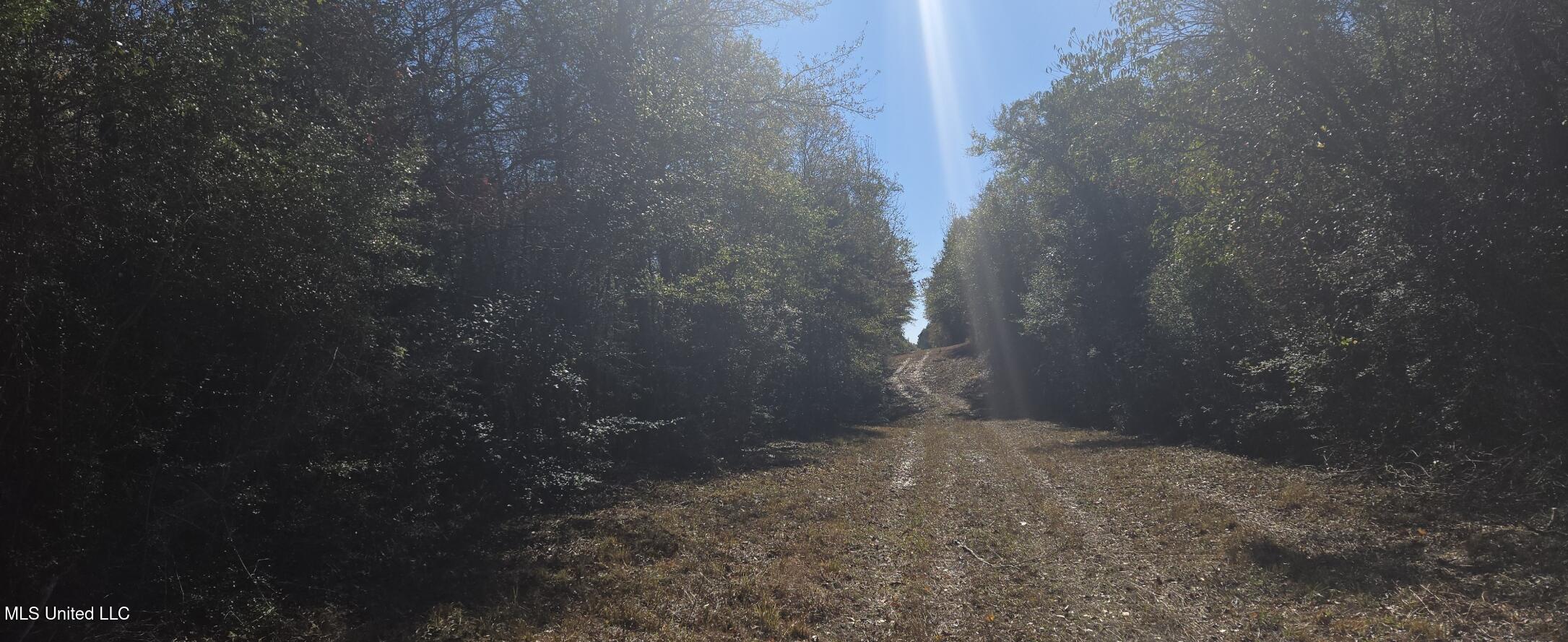 10 10 Mile Creek Road Foxworth, MS 39483 - Photo 82 of 101 20251215_105743