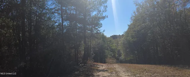 $139,000 | 10 10 Mile Creek Road, Foxworth, MS 39483