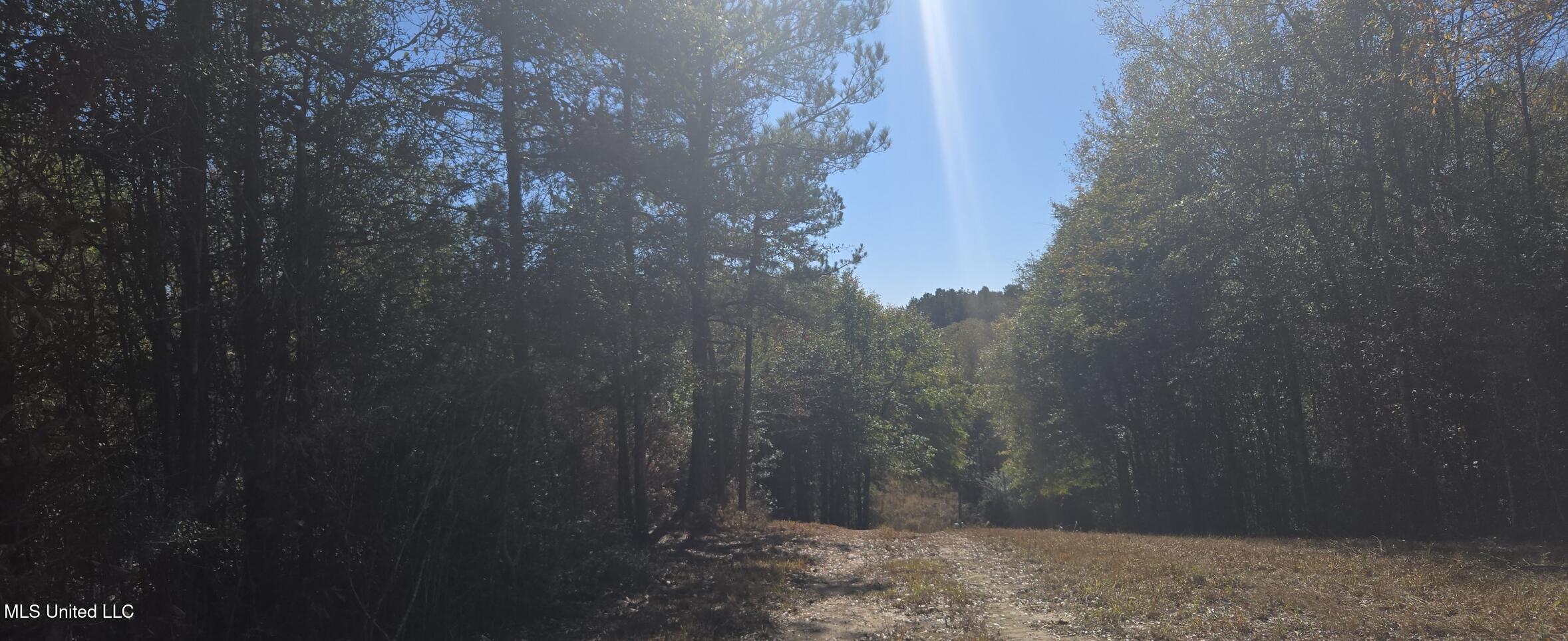 10 10 Mile Creek Road Foxworth, MS 39483 - Photo 83 of 101 20251215_105904