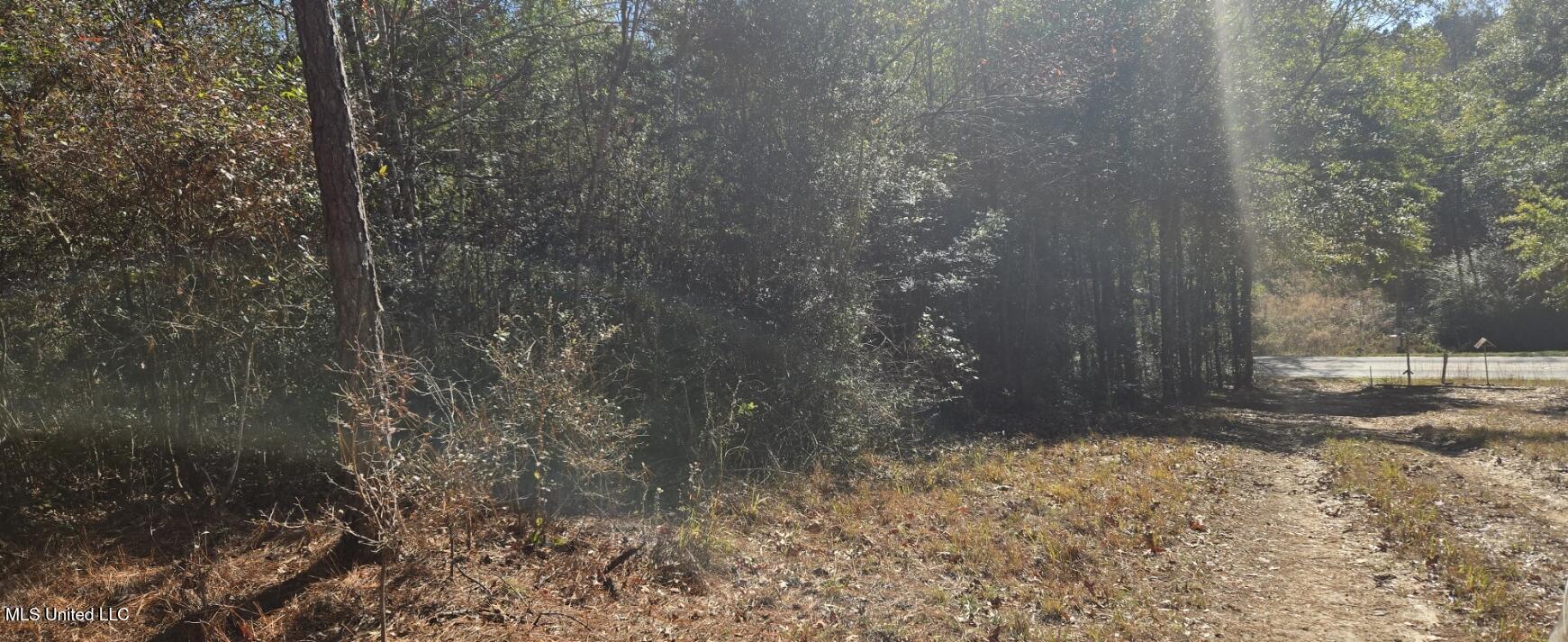10 10 Mile Creek Road Foxworth, MS 39483 - Photo 84 of 101 20251215_105936