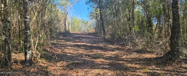 $139,000 | 10 10 Mile Creek Road, Foxworth, MS 39483