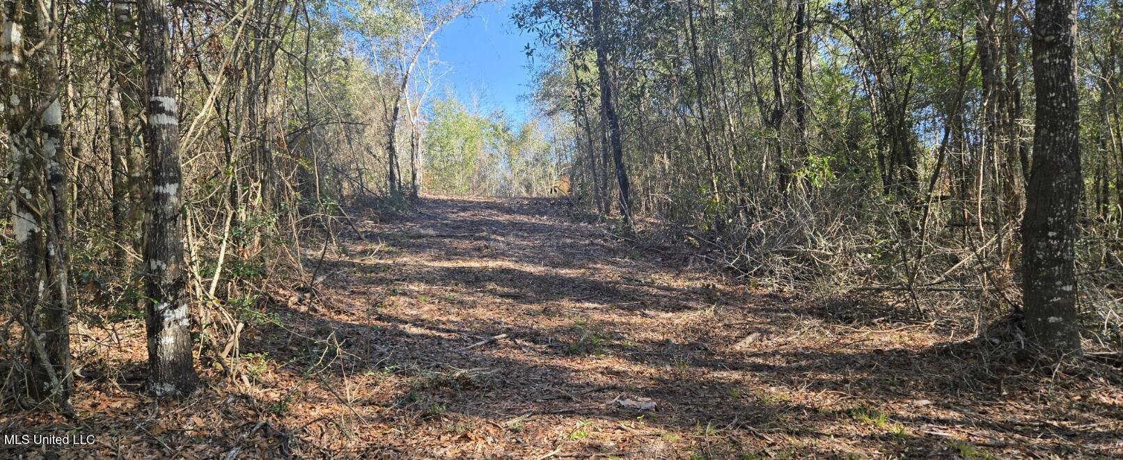 10 10 Mile Creek Road Foxworth, MS 39483 - Photo 85 of 101 20251215_110007
