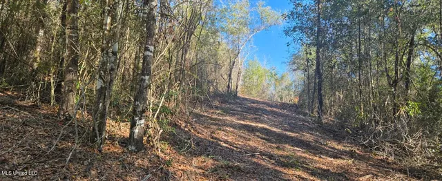 $139,000 | 10 10 Mile Creek Road, Foxworth, MS 39483