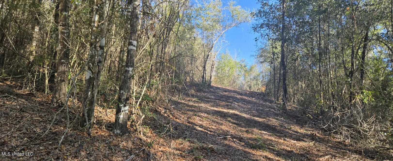 10 10 Mile Creek Road Foxworth, MS 39483 - Photo 86 of 101 20251215_110017