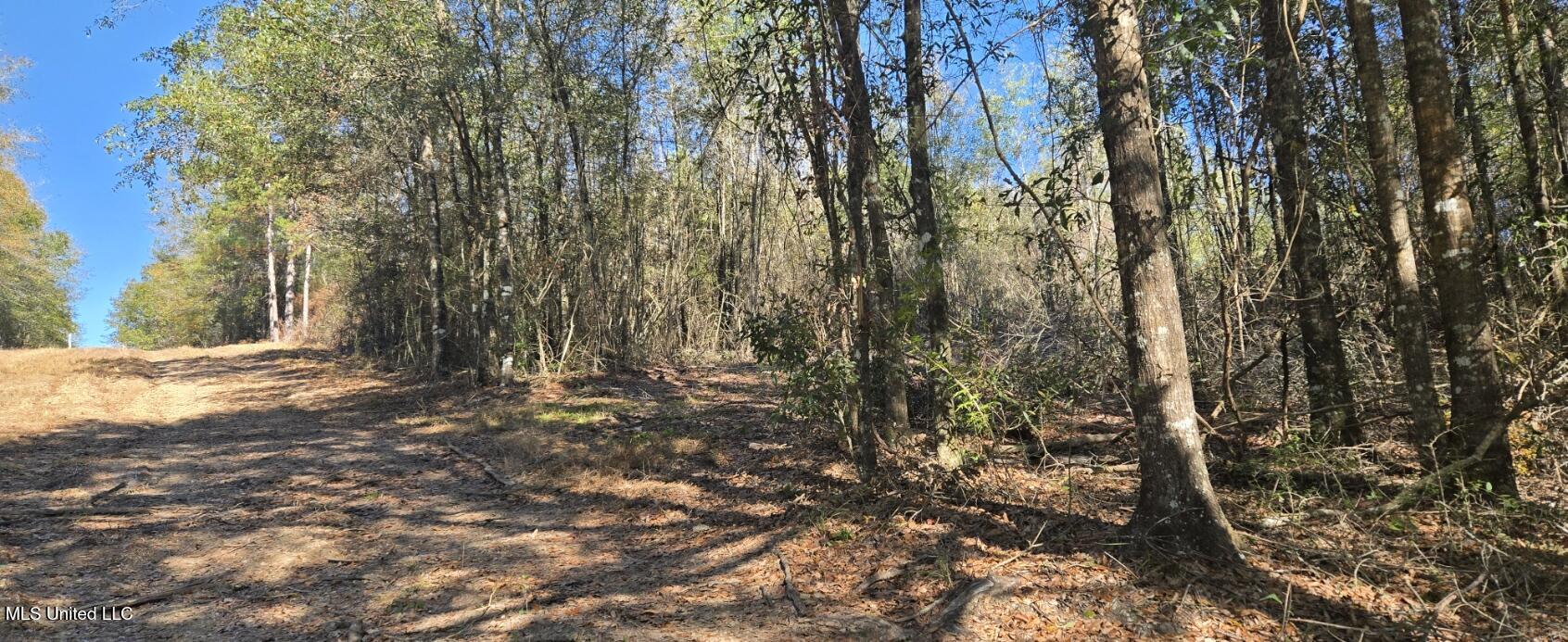 10 10 Mile Creek Road Foxworth, MS 39483 - Photo 87 of 101 20251215_110151