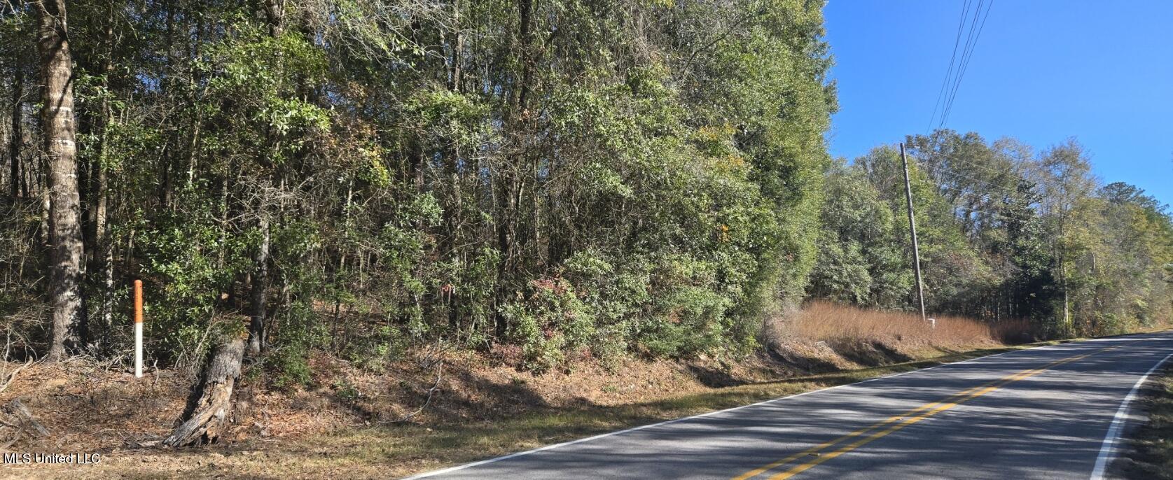 10 10 Mile Creek Road Foxworth, MS 39483 - Photo 88 of 101 20251215_110247