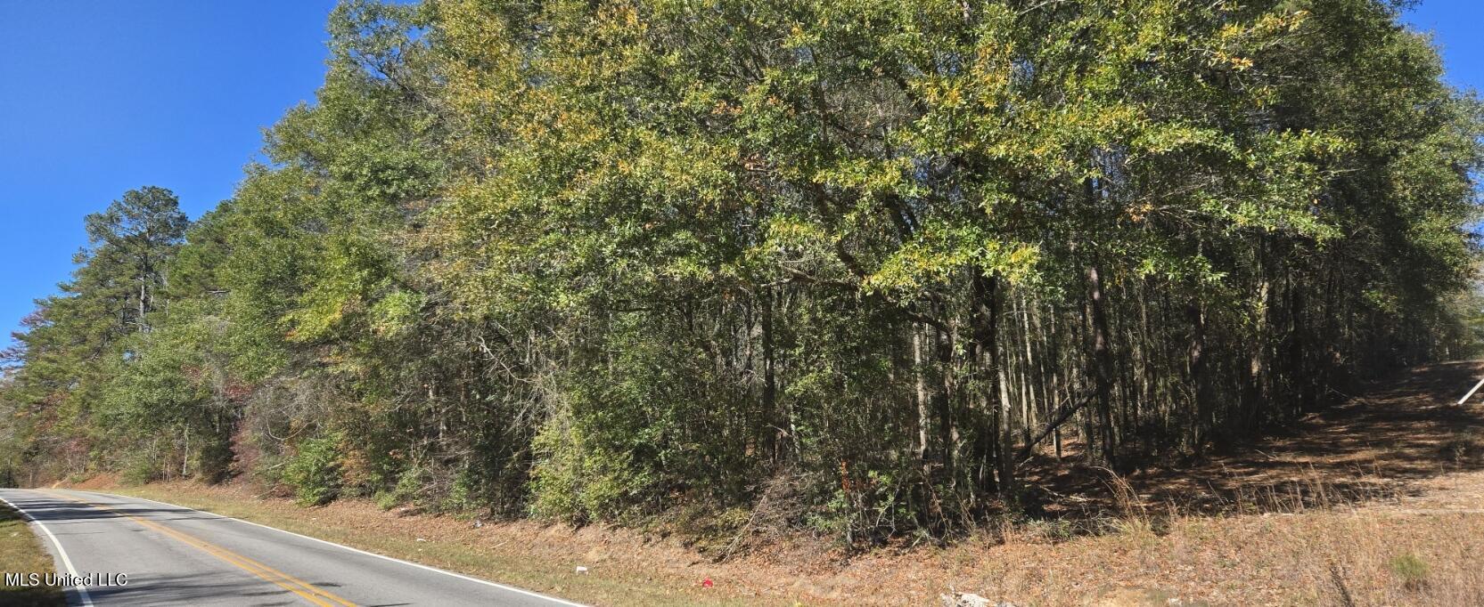 10 10 Mile Creek Road Foxworth, MS 39483 - Photo 89 of 101 20251215_110310