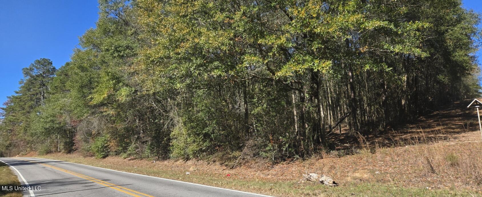 10 10 Mile Creek Road Foxworth, MS 39483 - Photo 90 of 101 20251215_110315